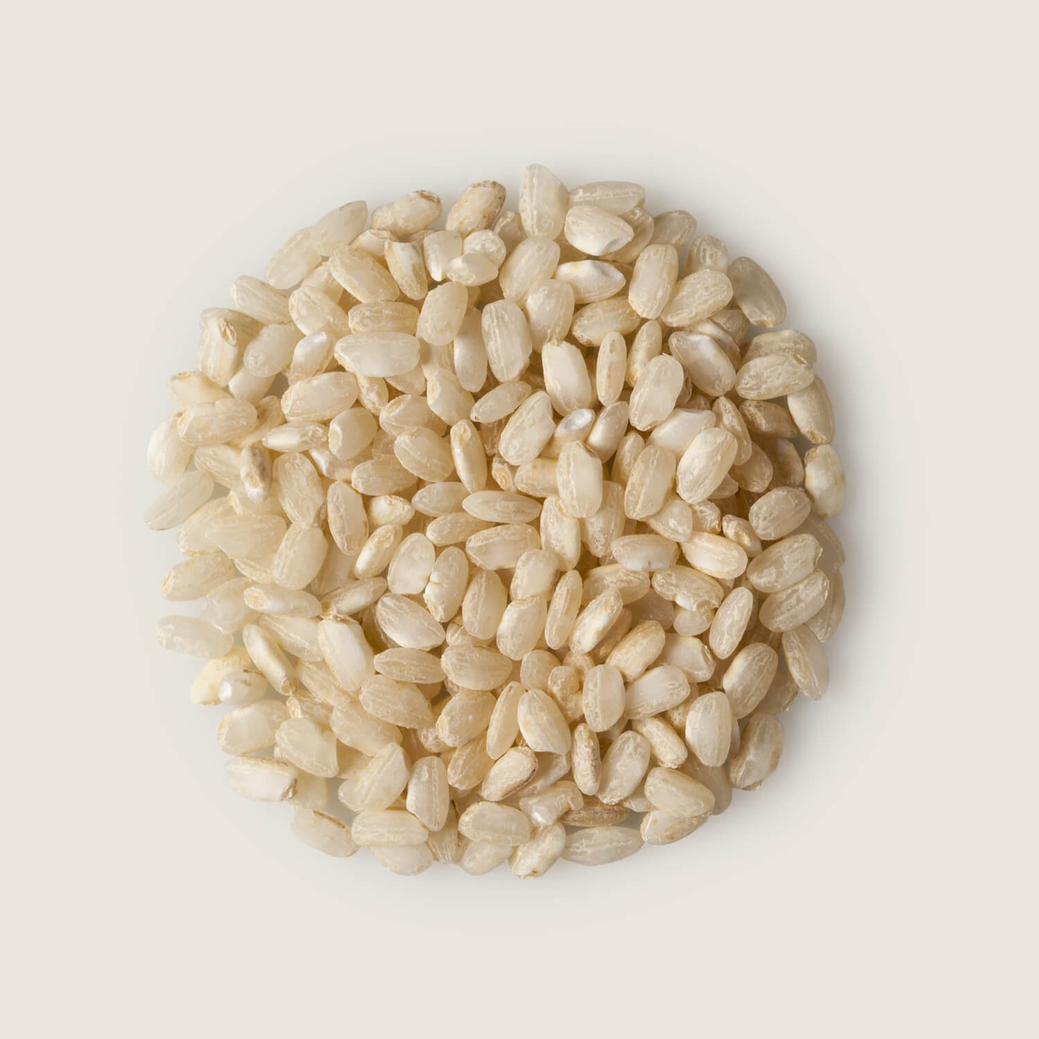Arroz blanco Vs. arroz integral: ¿cuál es mejor?